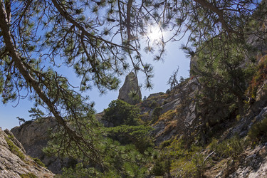 Similar image 21081531