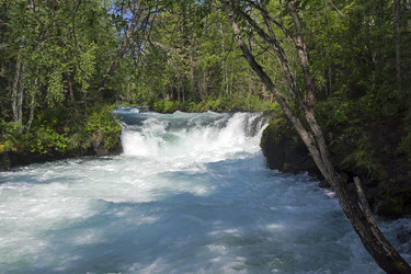 Similar image 21081534