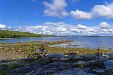 Similar image 21081535