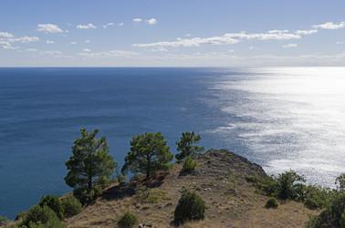 Similar image 21081540