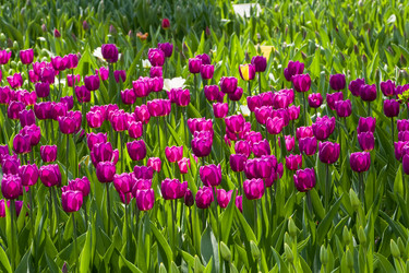 Similar image 21081546