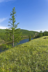 Similar image 21081550