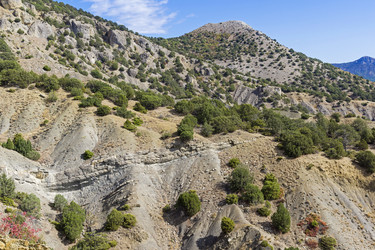 Similar image 21081554