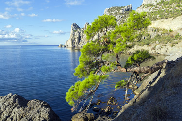 Similar image 21081558