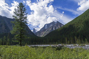 Similar image 21081563