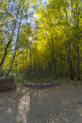 Similar image 21081569