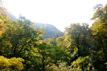 Similar image 21083208