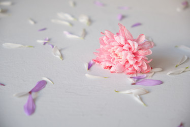 Similar image 21101880