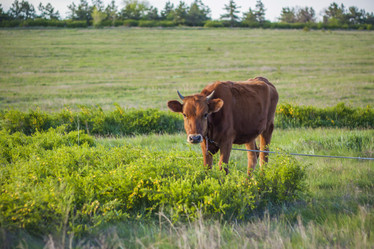 Similar image 21110648