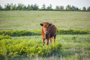 Similar image 21110649