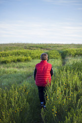 Similar image 21110651