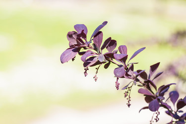 Similar image 21110658