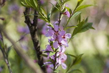 Similar image 21111430