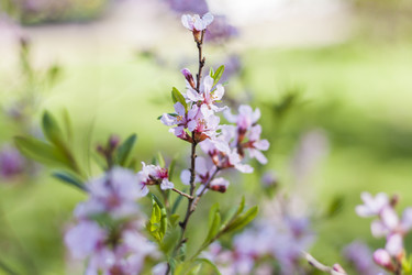 Similar image 21111431