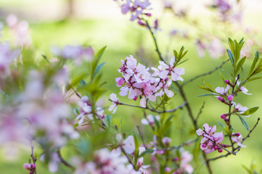 Similar image 21111433