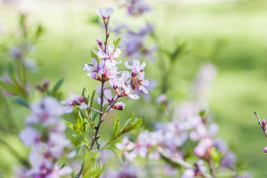 Similar image 21111434