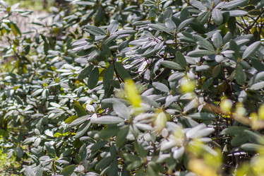 Similar image 21111449