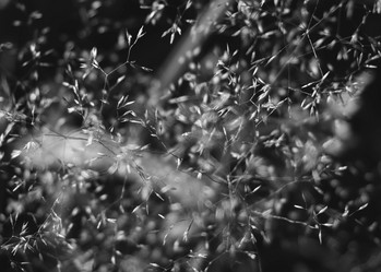 Similar image 21080854