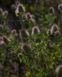 Similar image 21080855