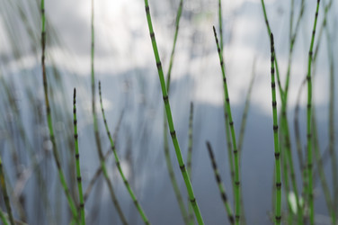 Similar image 21080859