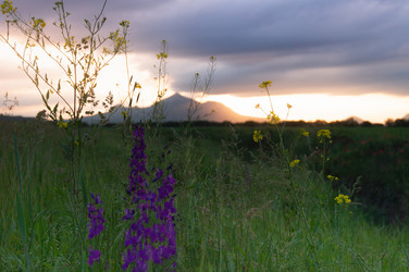 Similar image 21080873