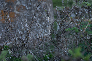 Similar image 21080880