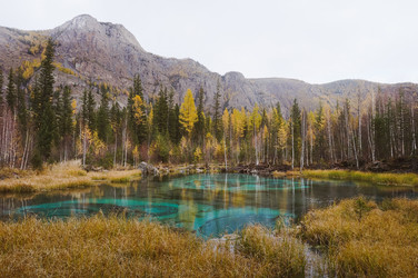 Similar image 21080882