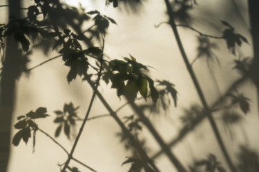 Similar image 21079617