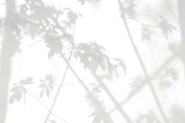 Similar image 21079618