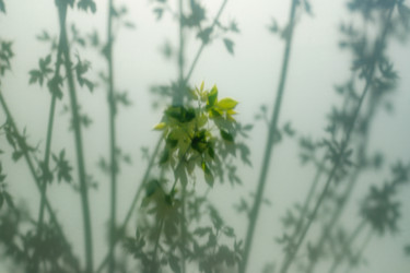 Similar image 21079621