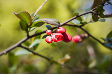 Similar image 21111529