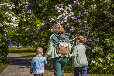 Similar image 21110813