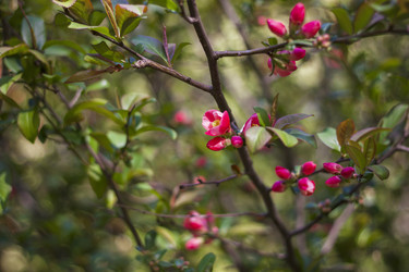 Similar image 21111530