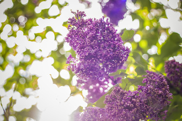 Similar image 21111531