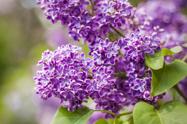 Similar image 21111533