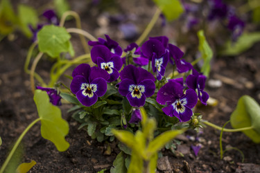 Similar image 21111535