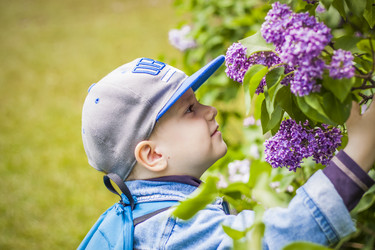 Similar image 21110815