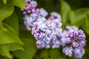 Similar image 21111536