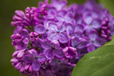 Similar image 21111537