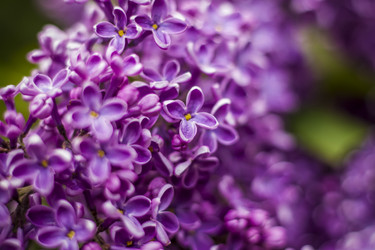 Similar image 21111539