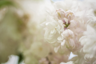 Similar image 21111540