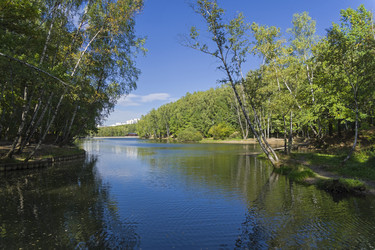 Similar image 21081378