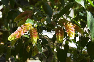 Similar image 21081382