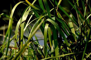 Similar image 21083216