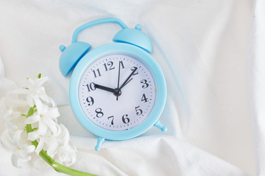 Similar image 21101226