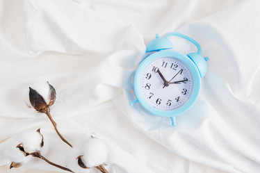 Similar image 21101229