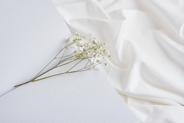 Similar image 21101233