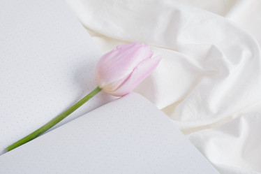 Similar image 21101287