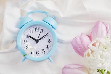 Similar image 21101314