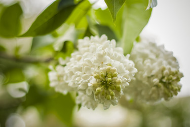 Similar image 21111542